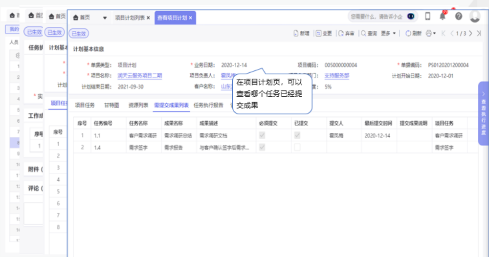 项目任务执行